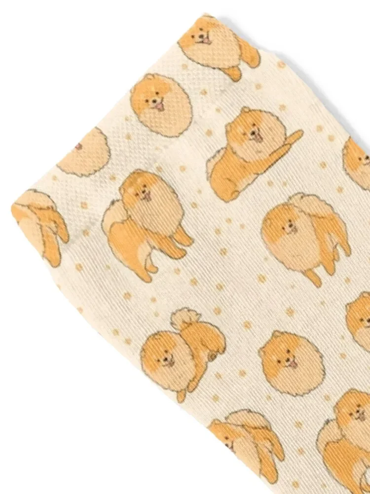 Cute Pomeranian pack - a cute pomeranian dog illustration Socks Wholesale Stockings Novelties new in's Man Socks Women's