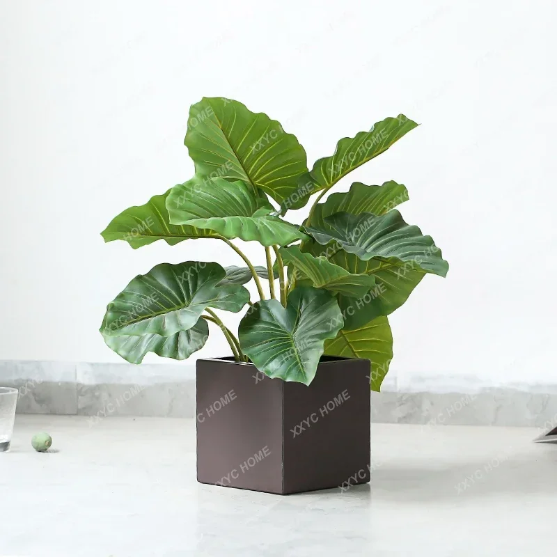 Simulation Greenery Bonsai Alocasia Macrorrhiza Artificial Plant Pot home decoration  artificial plants