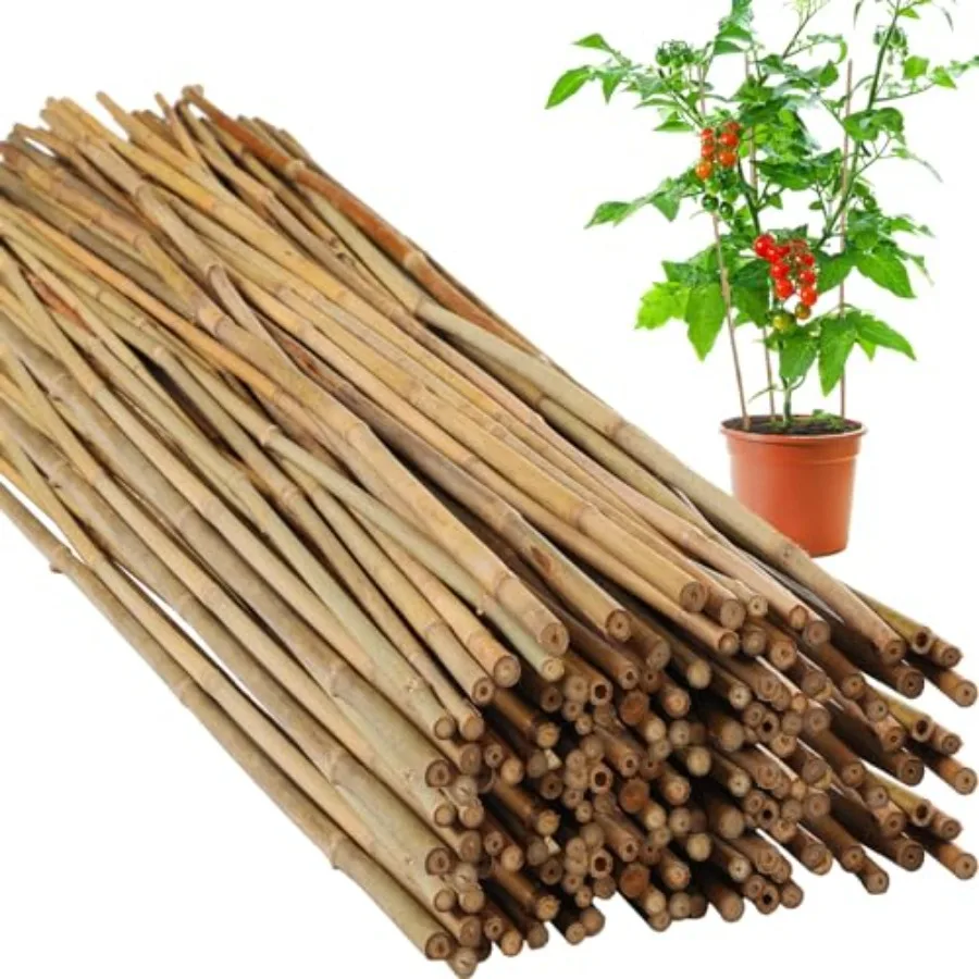 Pcs Bamboo Stakes Bulk Natural Plant Stakes Bamboo Garden Supports Climbing for Tomatoes Beans Vegetable and Potted Plants 48 I