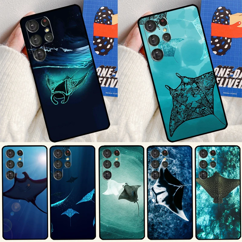 Animal Manta Ray Ph…