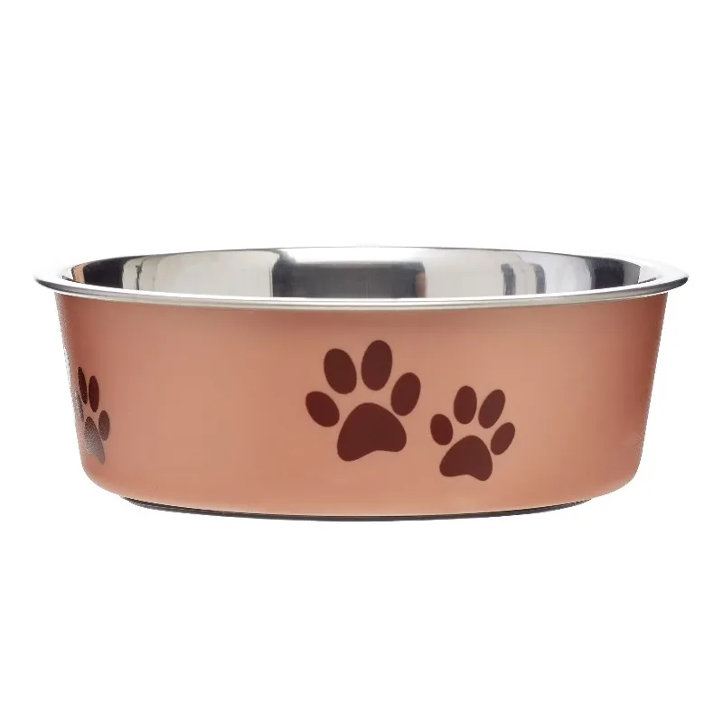 Small Champagne Dog Bowl for Healthy Eating
