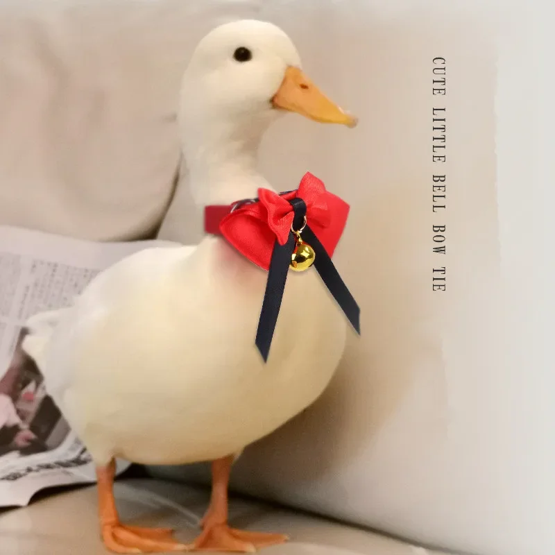 Adjustable Duck Bow Tie Collar with Bell Pet Neck Strap Chicken Duck Goose Necklace Accessories Farm Animal Supplies