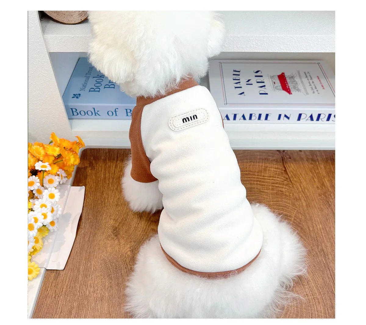 Haustierkleidung Deutsches Samthemd Hund halb-Rollkragenpullover Katzenheim Bigbear Teddy Schnauzer mit kleinem Hund im Inneren