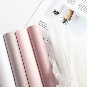 Solid Color Stoffpapier, geeignet für Blumenverpackung, durchscheinend 10 Hauptverkaufskleider 70 - №9