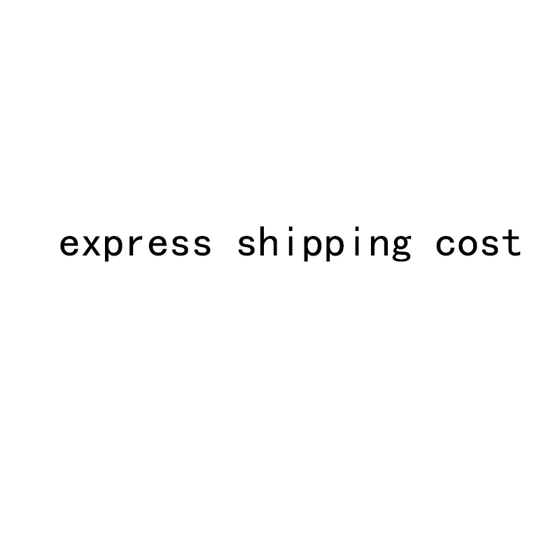 

express shipping cost