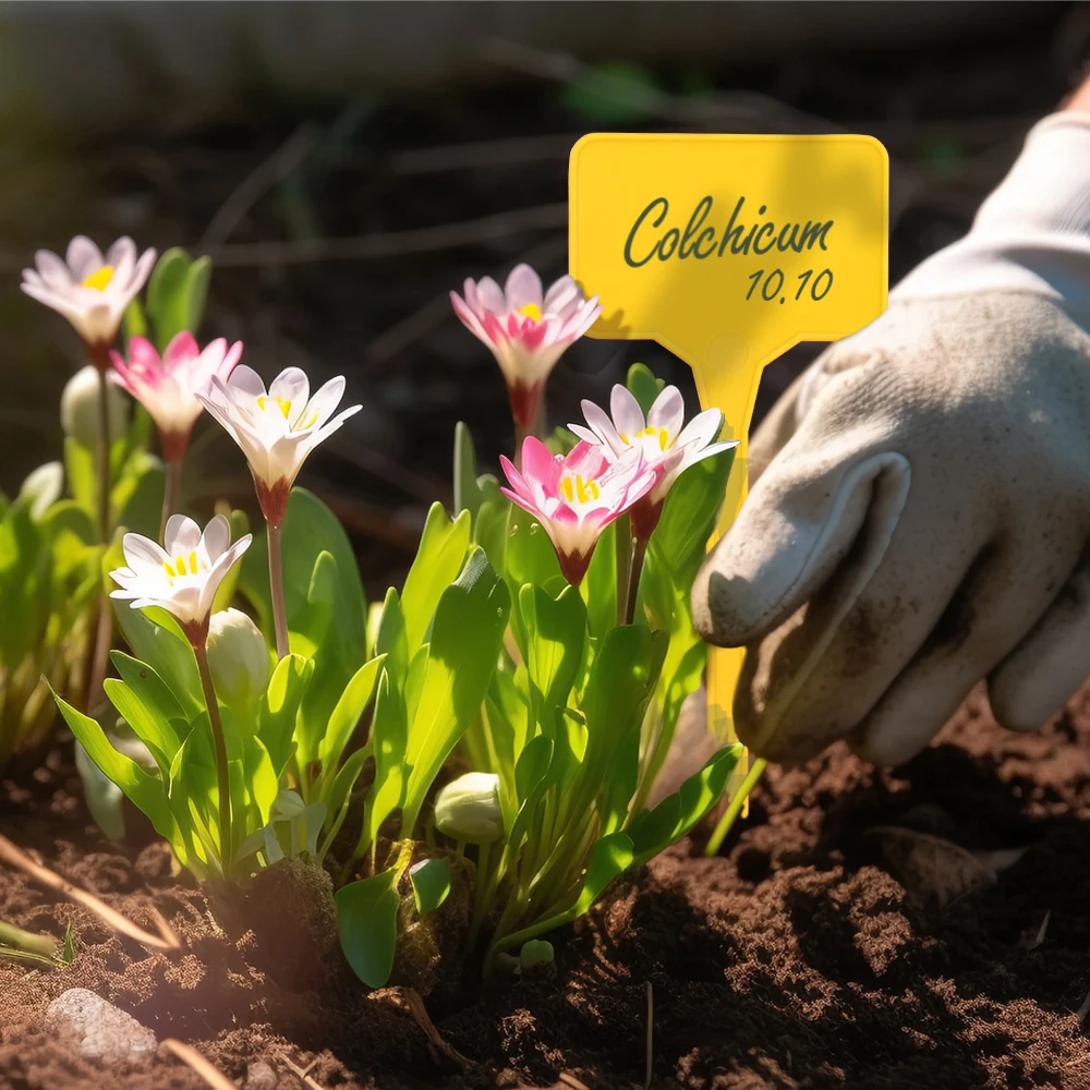 N306 T-Shaped Plant Labels 14.7cm Tall Writable Waterproof Garden Tags PP Markers for Indoor Outdoor Plants Flowers Vegetables