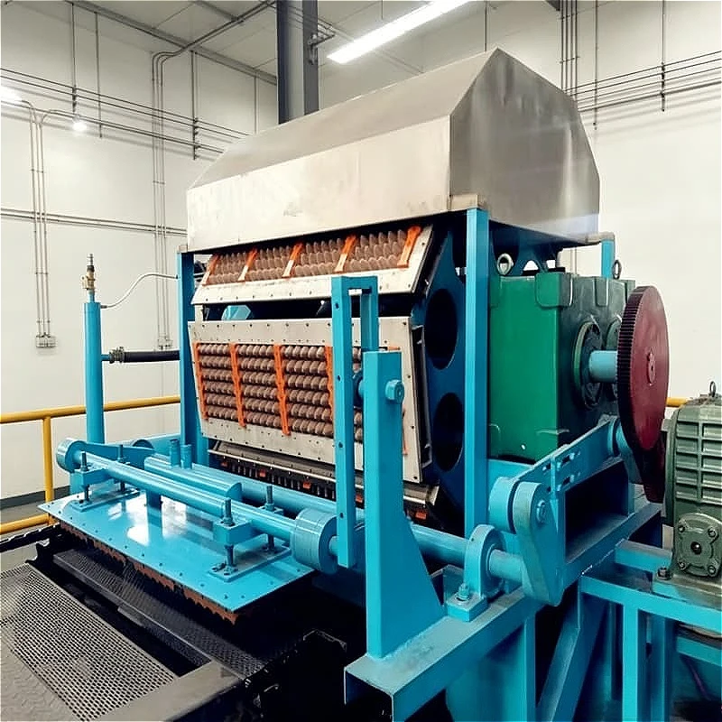Full Automatic Egg Tray Production Line 1800-5000Pcs/h High Efficiency Motor Gearbox Drive Pulp Molding Device Customized