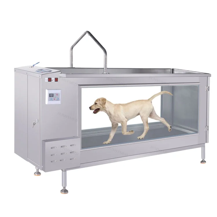 Veterinary Equipment Pet Electric Underwater Hydrotherapy Dog Treadmill Water Treadmill for Dog