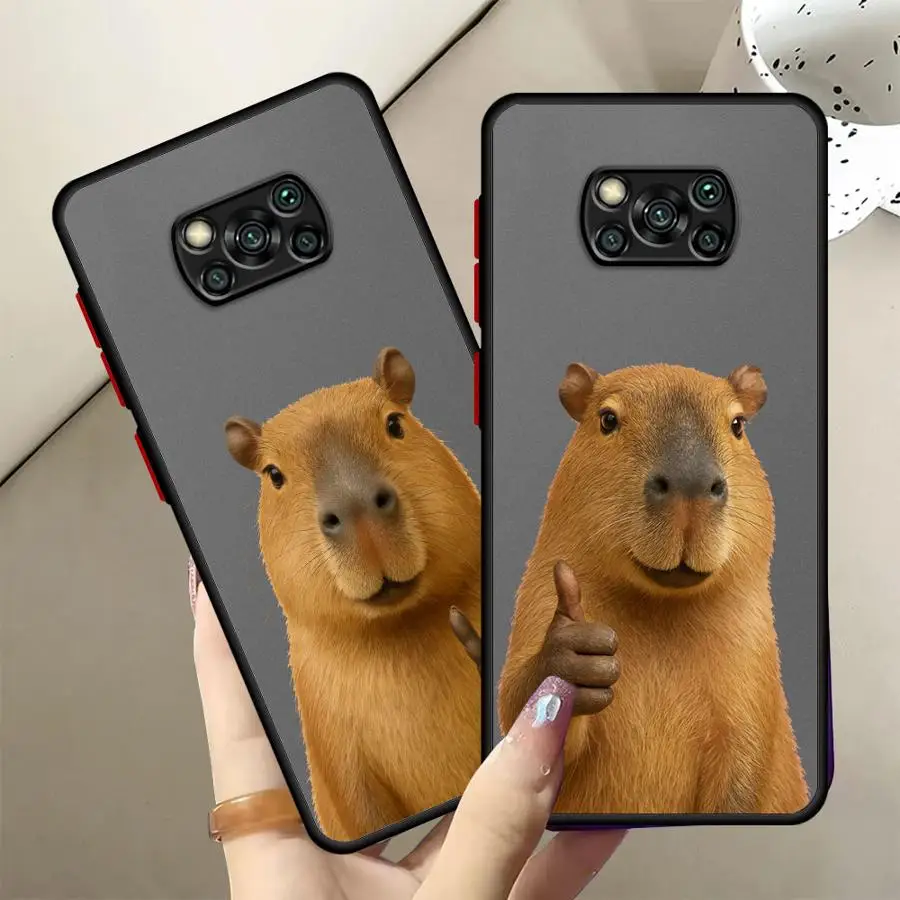 Cute Capybara Back …