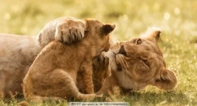 

2 шт. металлические передние и задние приводные валы CVD для радиоуправляемых автомобилей YOKOMO YD2/YD4 — высокопрочные детали для обновления для улучшенного трансмиссии