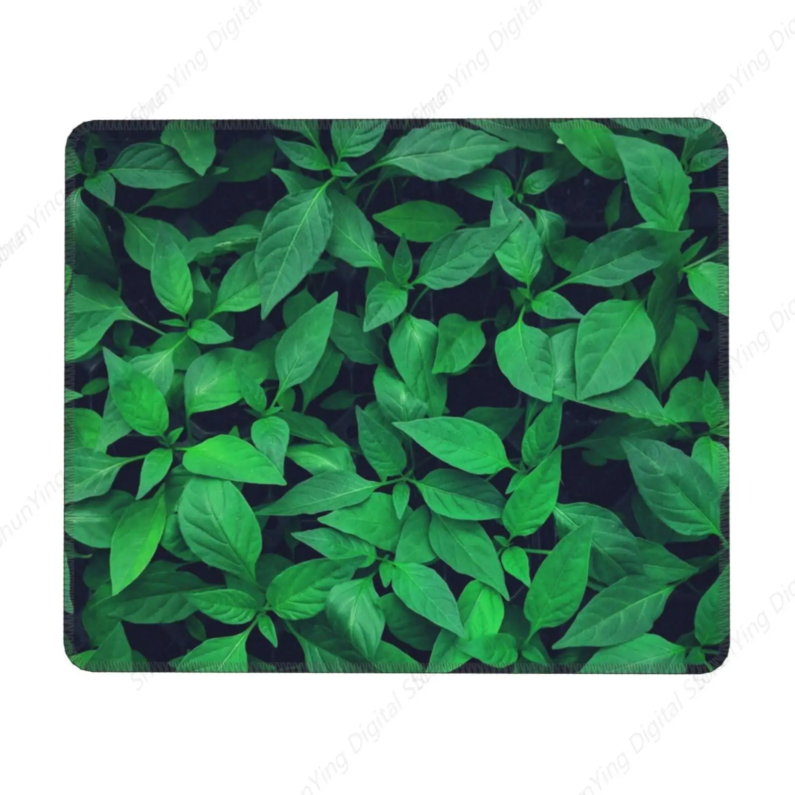 

Green Plant Mouse Pad Anti Slip Rubber Gaming Mouse Pad Suitable For Office Mouse Pads On Computers And Laptops 18*22cm