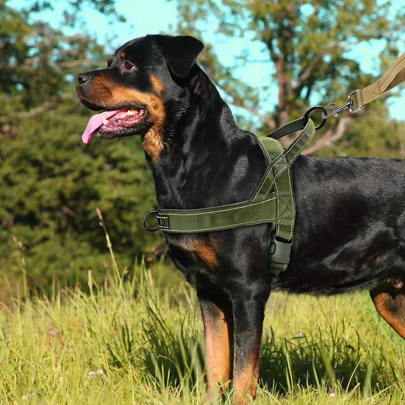 

Nylon Dog Harness Adjustable Pet Walking Training Harness Vest For Medium Large Dogs Pitbull German Shepherd Reflective No Pull