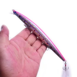 Crankbait señuelo duro para carpa y lubina - pez grande