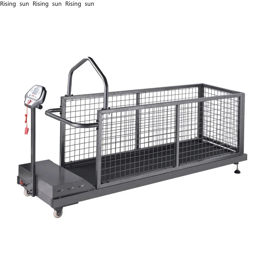 

Dog Treadmill Easy to Use Pet Exercise Equipment Dog Training Rehabilitation Walking Running Treadmill