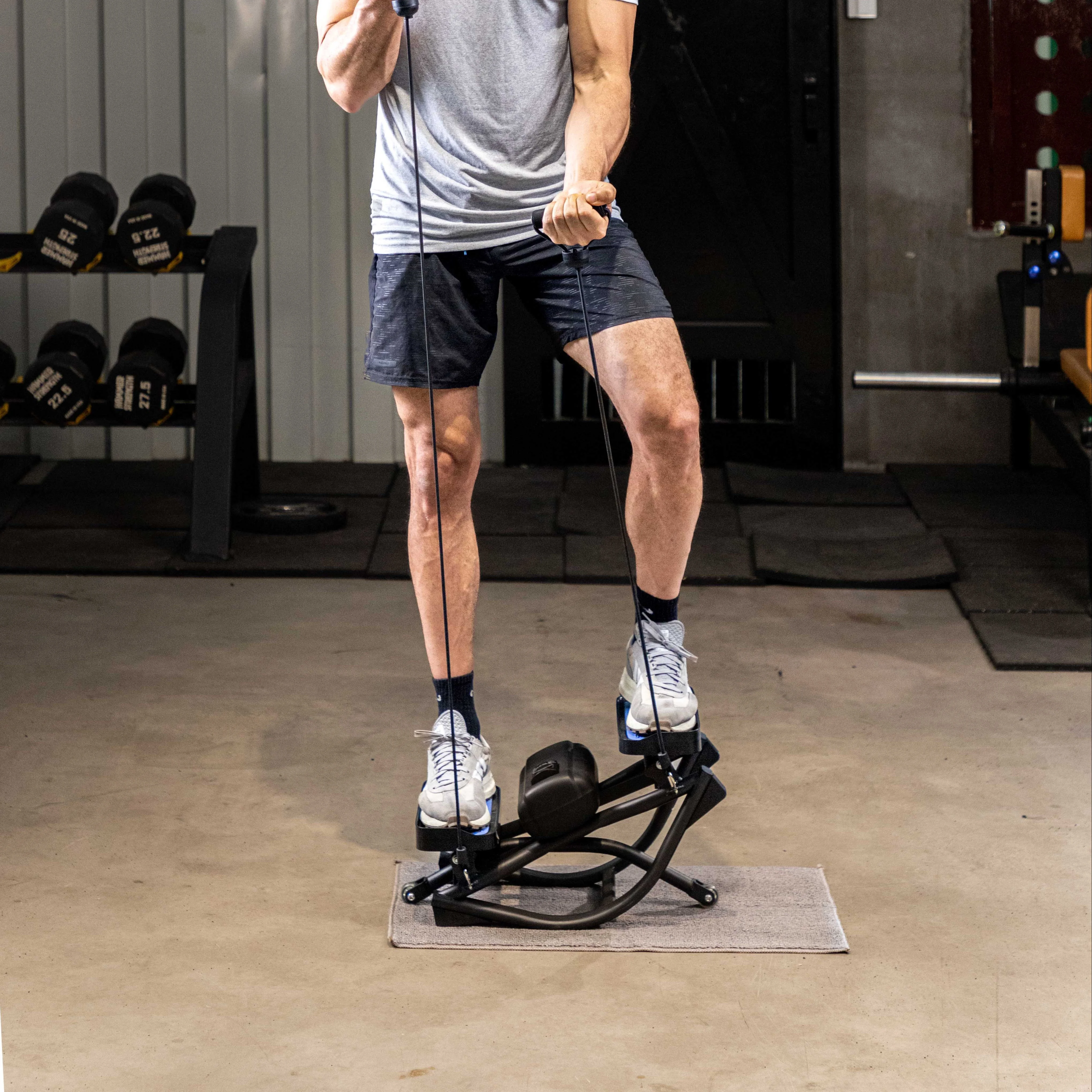 Mini ABS and Steel Twist Stepper Home Cardio Exercise Fitness Machine Stair Climber Equipment