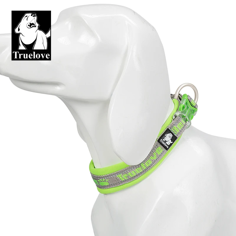 Truelove Dog Collar Nylon Reflective Adjustable Duraflex buckle Small Cat Large Dog  Embroider Neoprene with Dog leash TLC50121