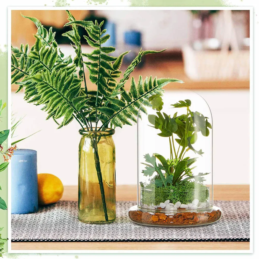Glass Dome with Airhole Glass Cloche Bell Jar with Base Home Tabletop Display Clear Terrarium Container for Plant, Terrarium
