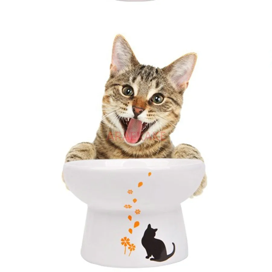 Cat bowl, pet bowl, puppy bowl, ceramic bowl, food bowl, feed bowl, pet feeder, 45 degree food bowl