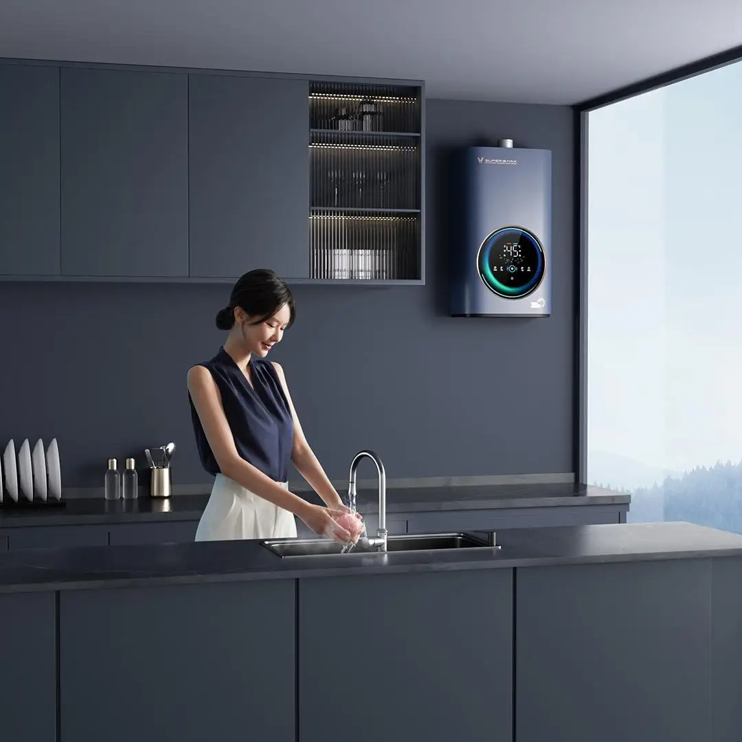 220V 50W JSQ30-VGW1629 Super 2 Max Zero Calentador de agua a gas de agua fría Gas natural