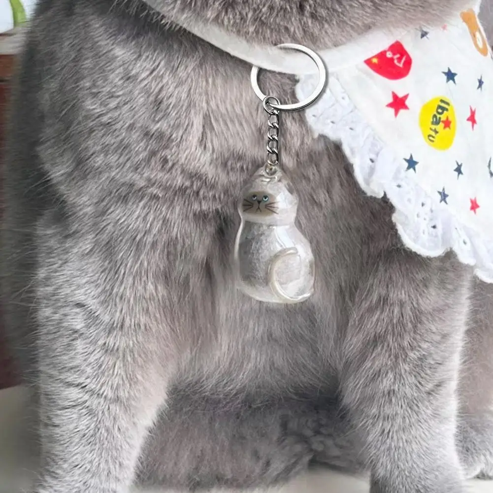 Cute Cat Dog Hair Memory Keychain Transparent Capsule Pendant Hair Storage Animal Fur Box Keychain Memorial Dustproof Box Gift