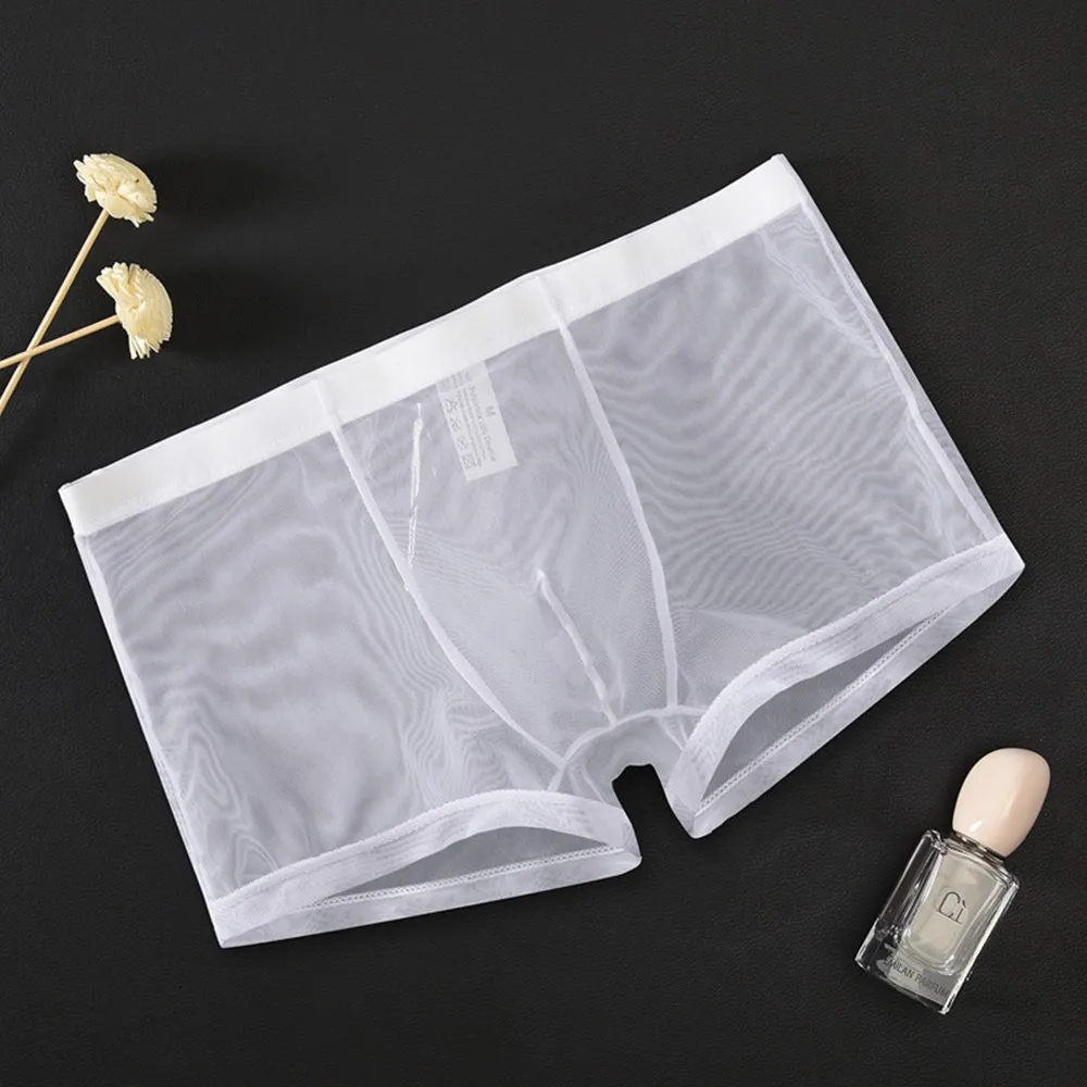 Sexy Men\'s Panties Mesh Boxer Shorts And Underpants Ultra-thin Transparent Underwear Trunks Male Underpants Boxers Man Pack