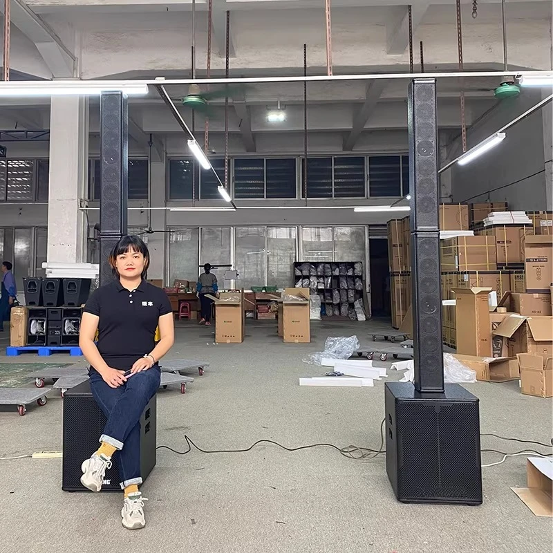 

18-Inch active subwoofer plus 604 sound column integrated speaker combination small performance meeting room