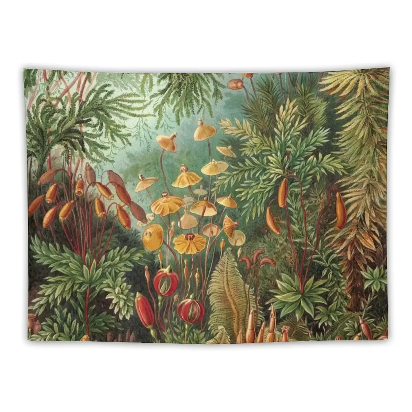 

Vintage Plants Decorative Nature Painting Illustration Artwork Tapestry Room Decorator Wall Deco Tapestry