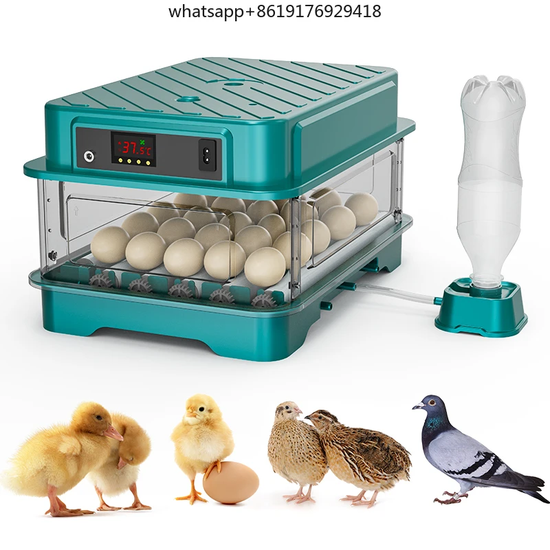 Inkubator Telur Otomatis Daya Ganda 24 Telur untuk Menetaskan Ayam, Bebek, Puyuh, Dijual