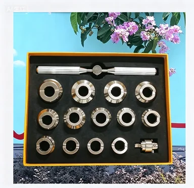 For Rolex Tudor Watch Repair Tool Open Cover Case Back Opener Large Gear Pattern Complete Model Water Ghost Professional Kit