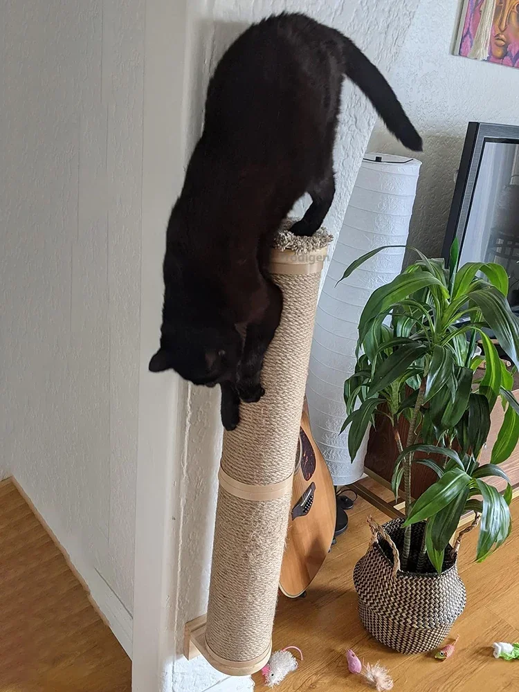 Cat Scratching Post Wall Furniture Wood Wall Mounted Kitten Scratcher Tree Tower Toys Thicker Column for Indoor Cats Accessories