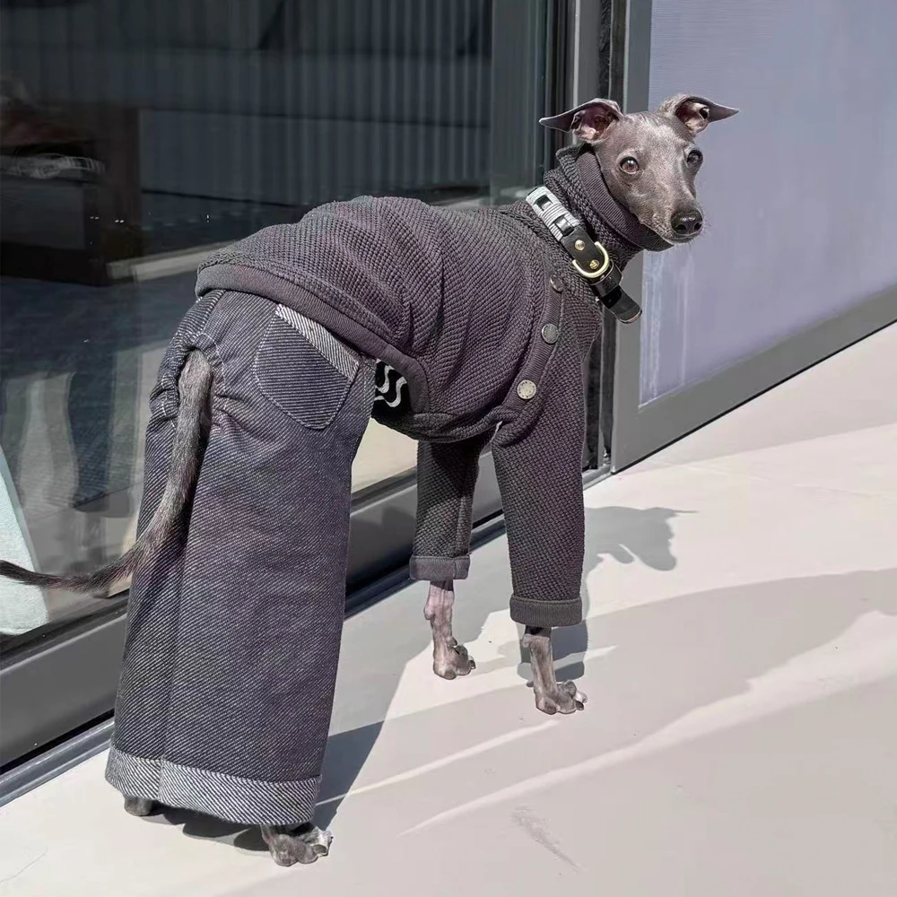 Ropa para Perros, Mono de Mezclilla de Algodón de Primavera, Pantalón y Camiseta de Alta Elasticidad para Galgo Italiano, Disfraces de Moda