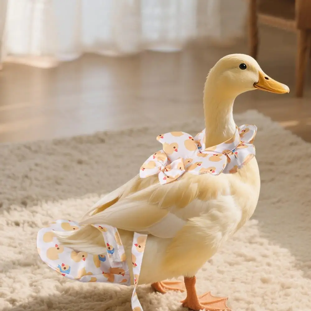 Hühner- und Enten-Zugleine, verstellbare Haustierkleidung, niedliche Haustierausflüge, Windel, Haustierbedarf, Vogelzubehör für größere Papageien – Detail 10