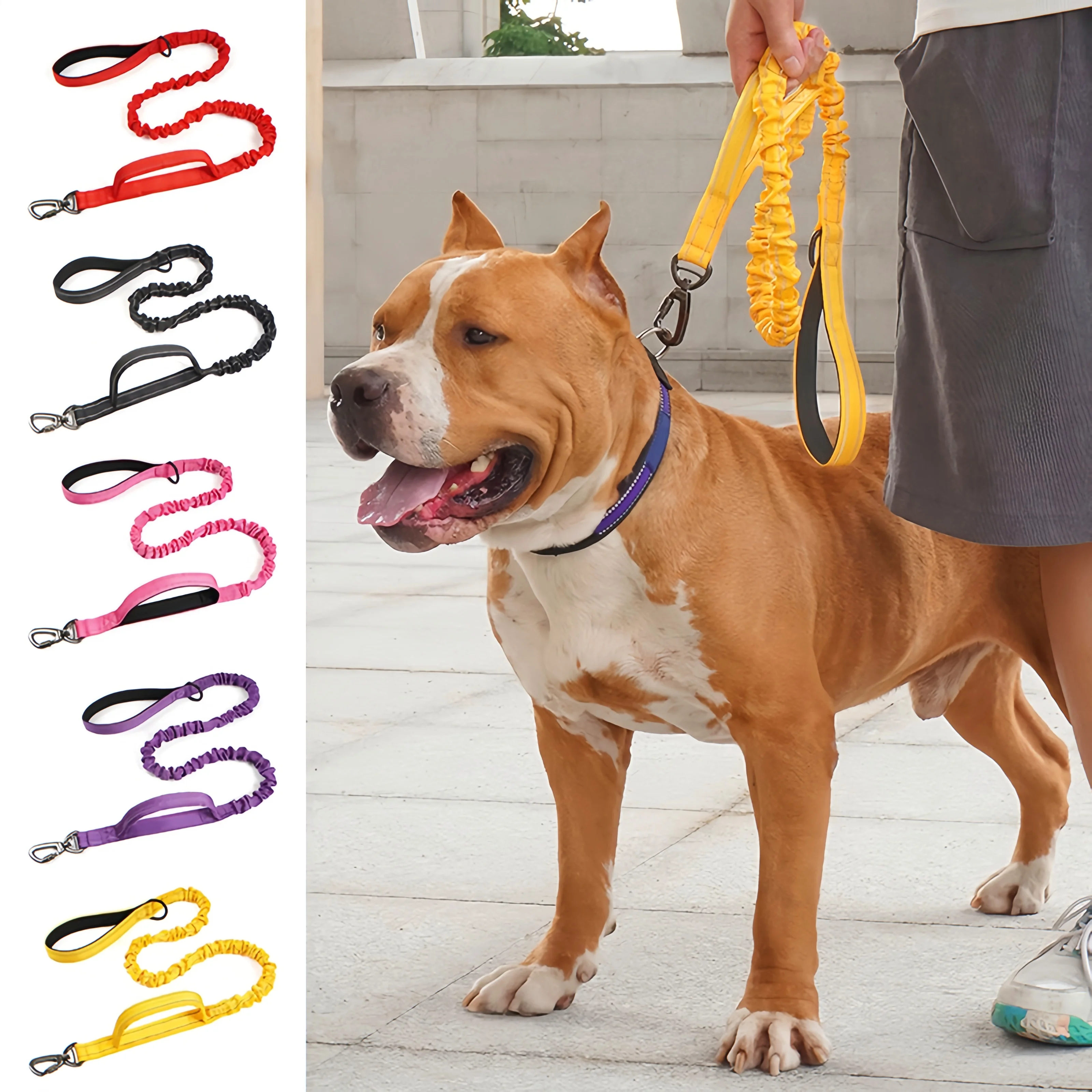 

Dog Leash Zinc Alloy Buckle Reflective Stripe Shock-Absorbent Elastic Rope Dual Handle Control for Small Medium Large Breed