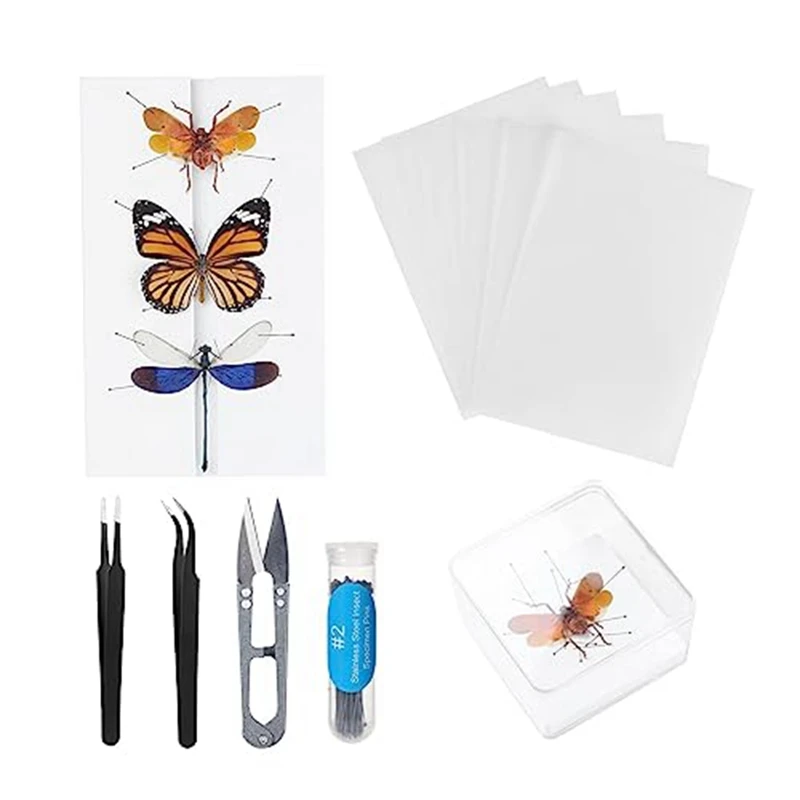 Making Insect Specimen Tools Kit,Insect Pins,Insect Pinning Board, Wings Pressing Paper,Tweezers, Scissors, Display Case