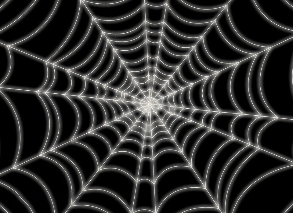 

Johnson spider web backdrops High quality computer print halloween Photography Studio Backgrounds