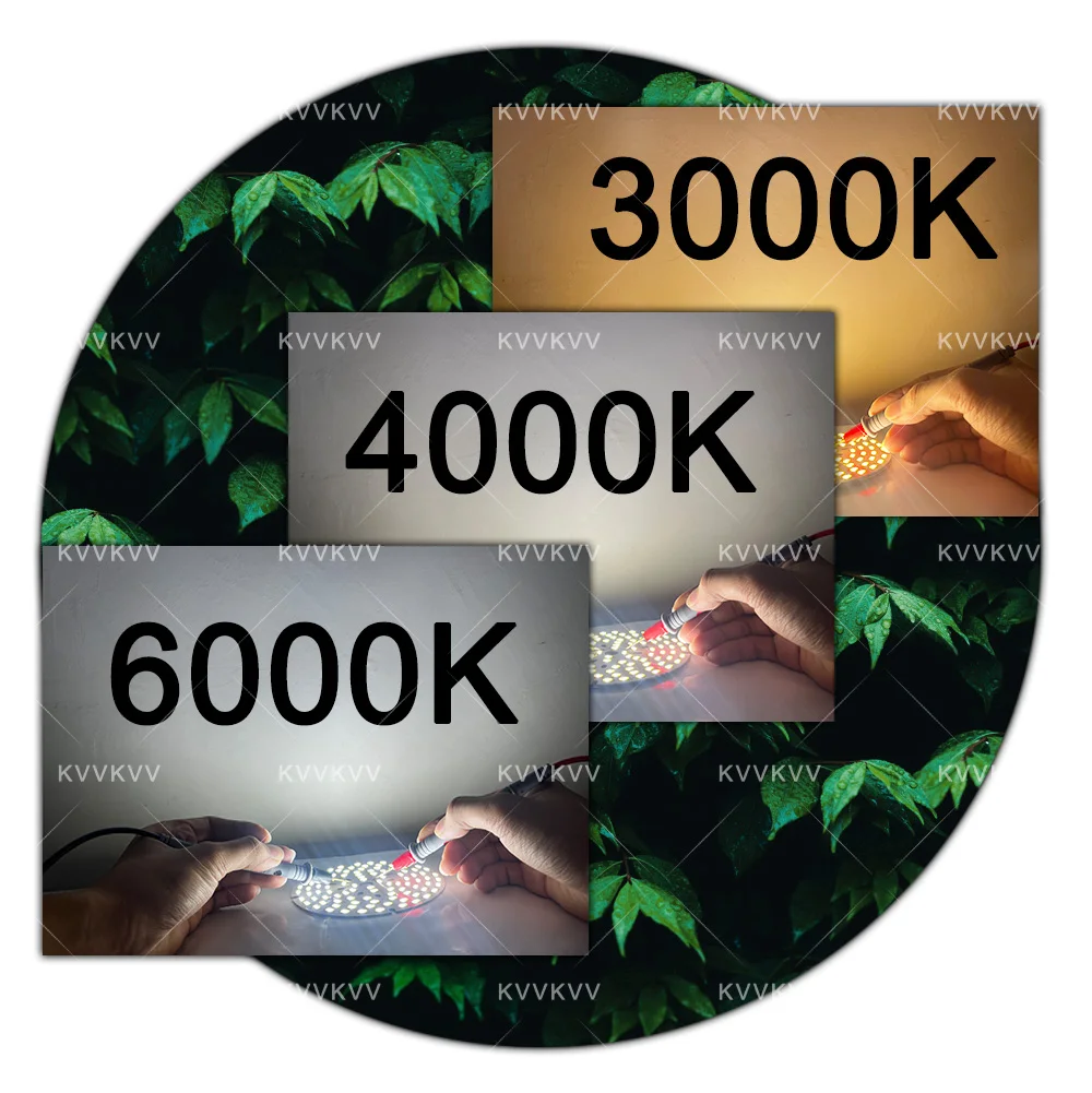 10 قطعة 12 فولت 24 فولت 19 مللي متر LED 1 واط مصباح أبيض دافئ مجلس DIY بها بنفسك لمبة LED زهر البرقوق مصباح لوحة النباتات مصدر الضوء رقائق إضاءة المنزل