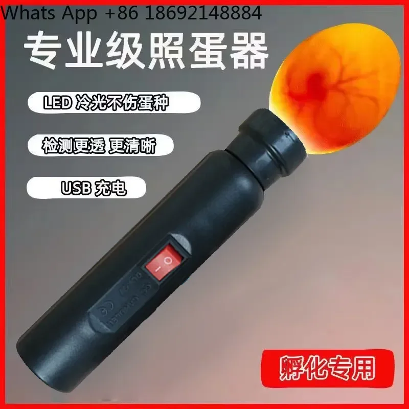 Cold Light Egg Lamp Export Egg Illuminator for Checking Egg Development for Hatching Machine