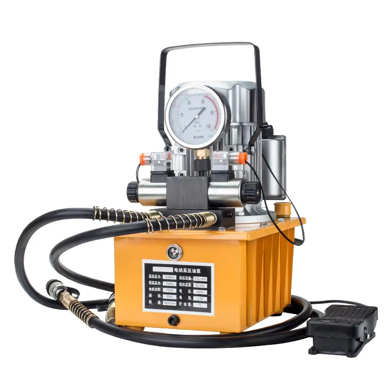 

750W Electric Driven Hydraulic Pump 10000PSI Dual-Acting Hydraulic Pump Oil Hose 110V/220V