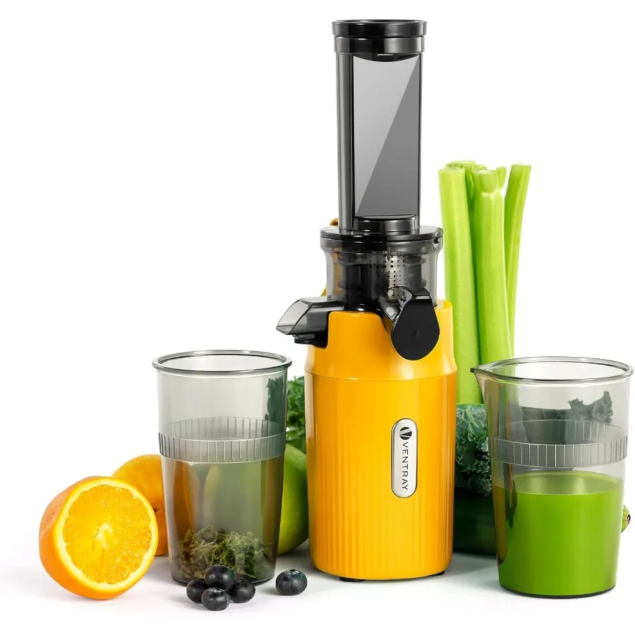 

Ginnie Mini Cold Press Juicer Small Slow Masticating Juicer for Vegetables and Fruits High Juice Yield Easy to Clean SpaceSavin
