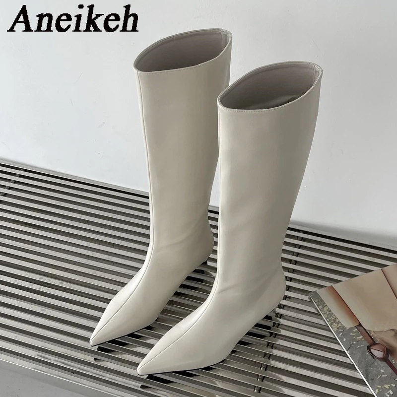 Aneikeh 2025 Fashion Sexy Pointed  Low Heels Knee Long Boots Women\'s Spring/Autumn PU Sewing Party Ball Western Boots 35-40