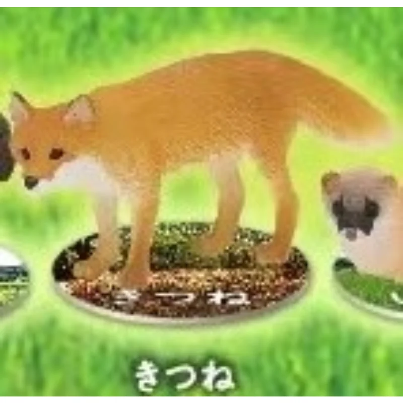 Originale IKIMON Gashapon animali In montagna volpe procione Qversion Mini Anime Figure Model Toys regali collezione ornamento