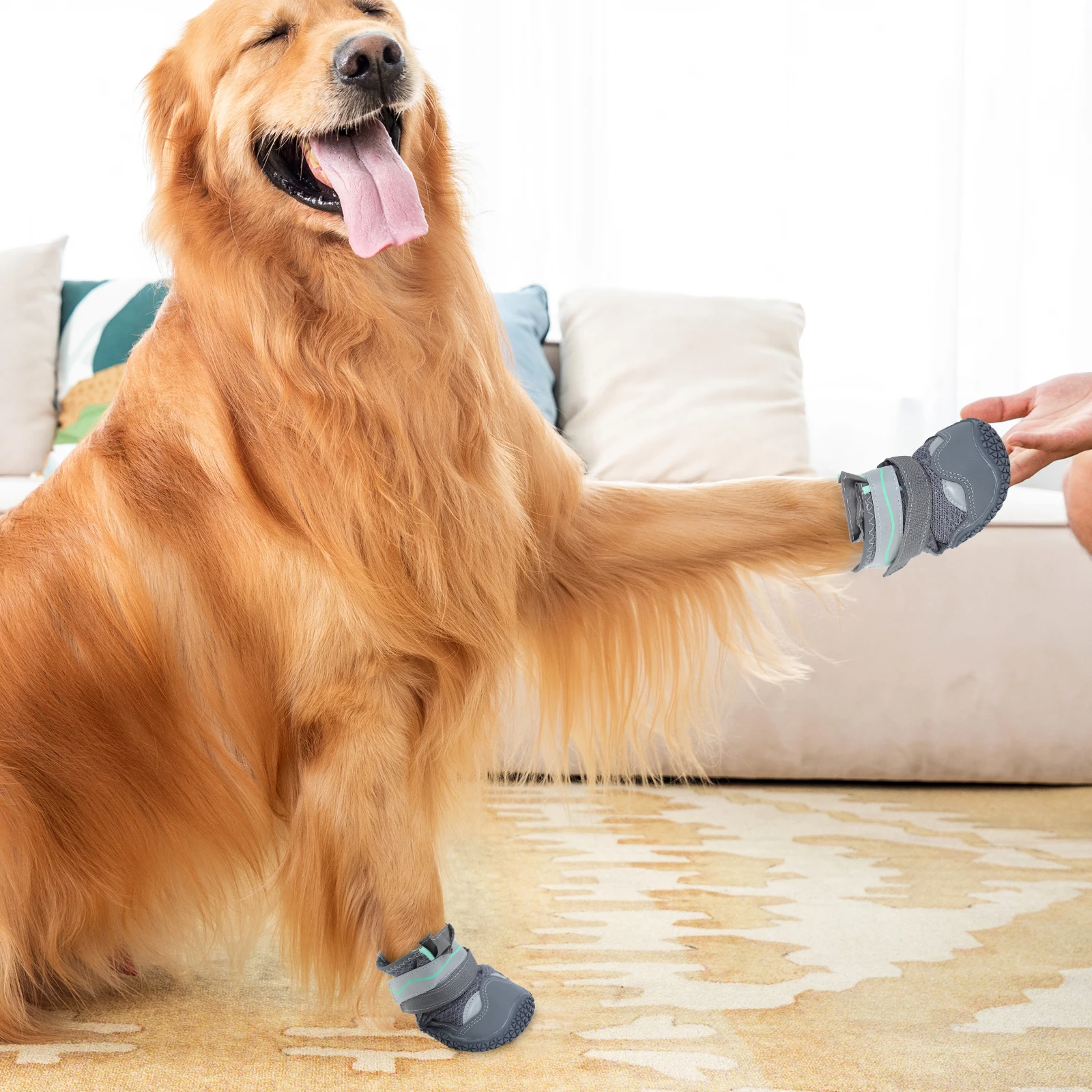 

4Pcs Non-Slip Pet Shoes Breathable Lightweight Dog Booties for Small Puppies Daily Walks and Adventures Dog Booties