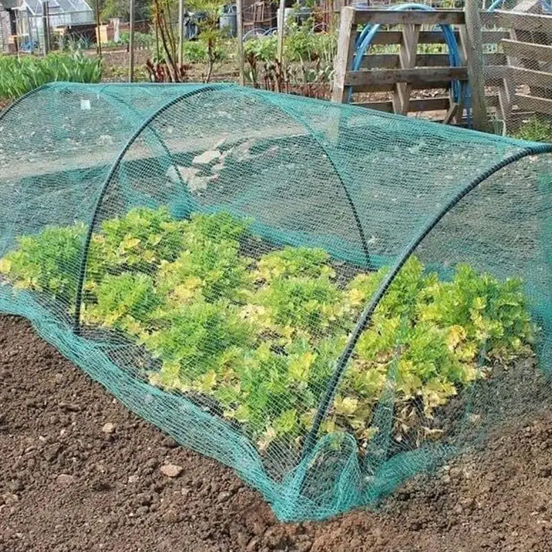 Bird Netting For Garden Butterfly Bird Mesh Netting Barrier For Strawberry Patch Protect Pond From Leaves Plant Cover Net For