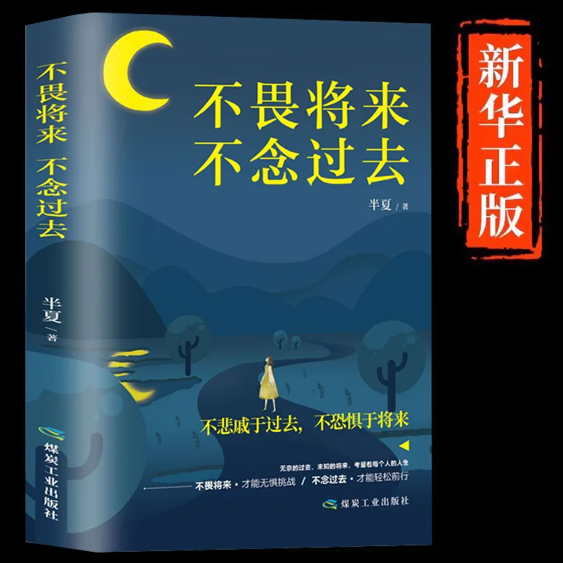 

Not Afraid of The Future and Not Thinking about The Past, Youth Literature with Positive Energy and Inspirational Novels