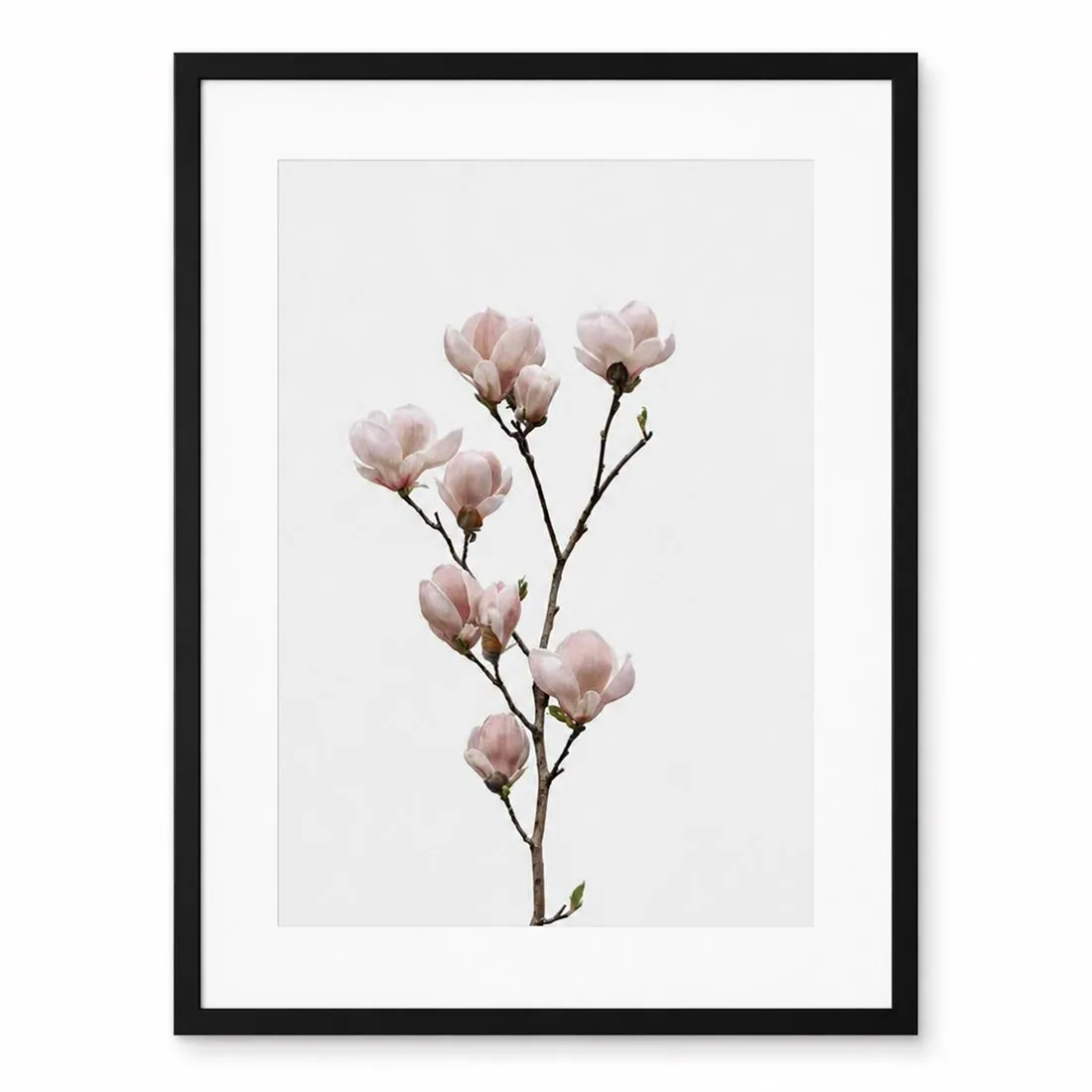 Magnolia Flower Poster,Canvas Wall Print,High‑Grade Home Decoration Artwork for Bedroom,Living Room,Office & Interior Space