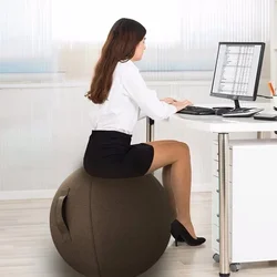 65cm Home Office Chair Sitting Ball Chair Yoga Ball Cover For Home Office