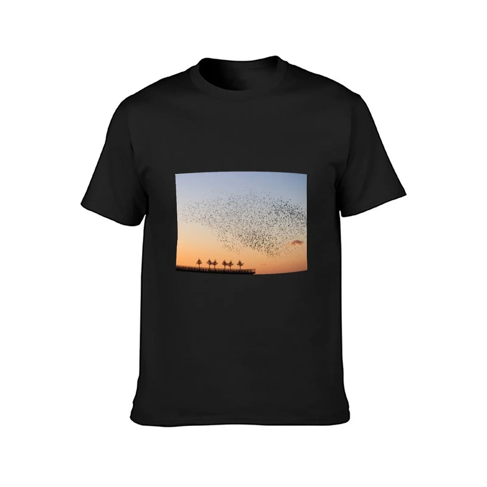 Golden hour flock T-Shirt heavyweights graphics plain oversized t shirts for men