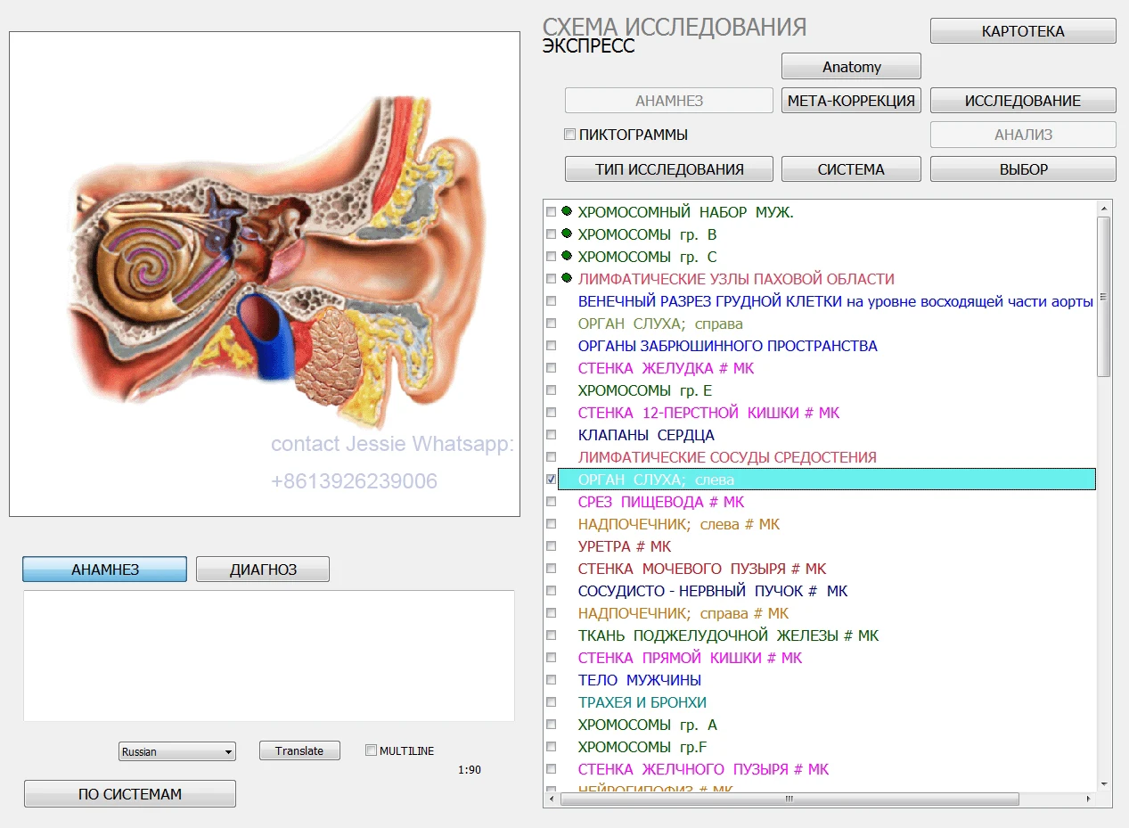 Russian software 12D NLS Bioresonance Aura Diagnose Nonlinear Analysis System Health Scanning Therapy Goods Analysis