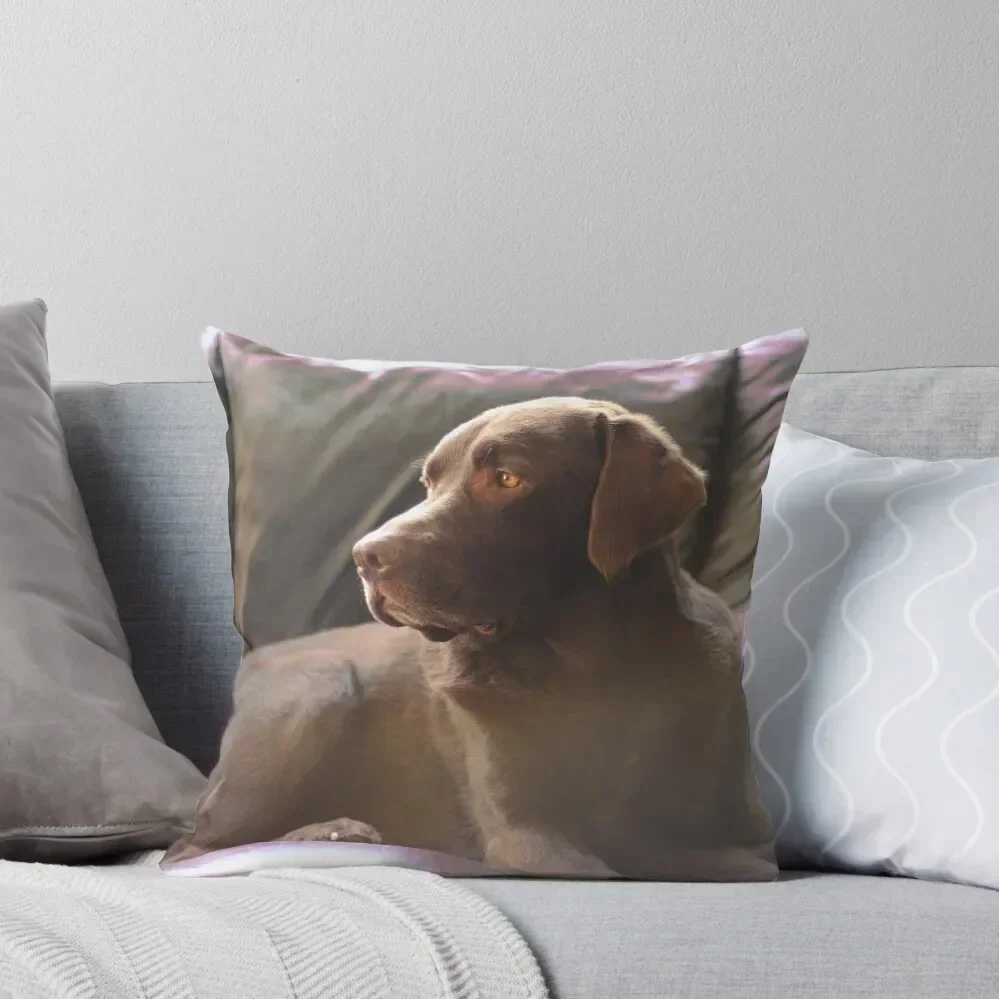 Daydream Chocolate Labrador Throw Pillow Pillows Aesthetic Pillowcase pillow