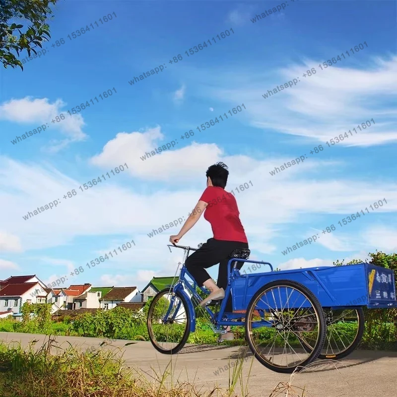 Adult Pedal Scooter with Handlebar, Cargo Bike, Stall Bike, Foot Brake, Human Power Tricycle